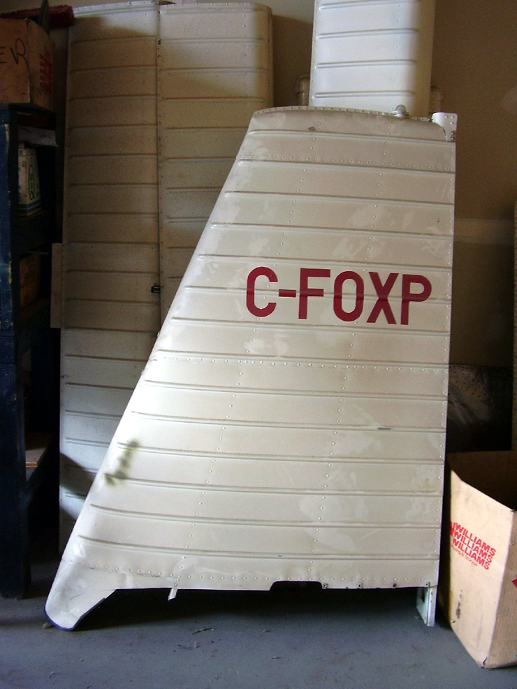 C-FOXP