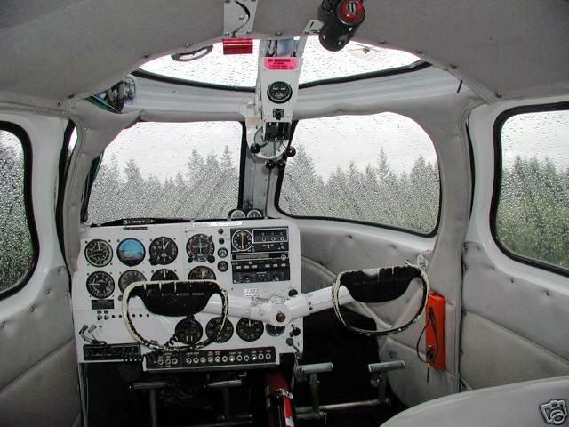 N87504