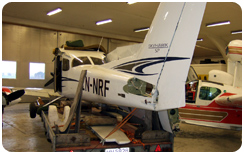 LN-NRF
