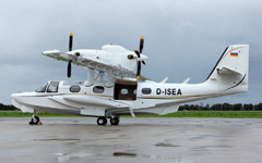 D-ISEA