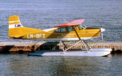 LN-BFZ