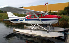 LN-TSG