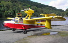 LN-SAU